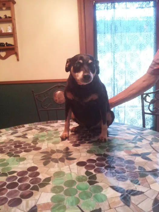 Hilltop Animal Clinic Picture 2
