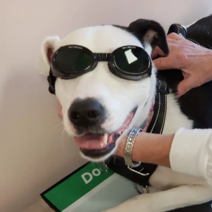 Hilltop Animal Clinic Picture 8