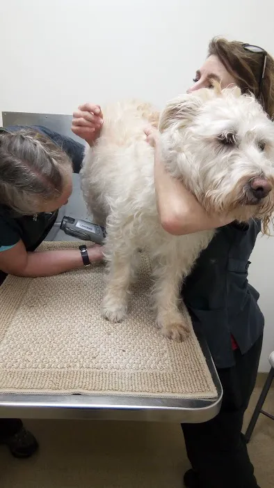 Westside Animal Clinic, A Thrive Pet Healthcare Partner Picture 4