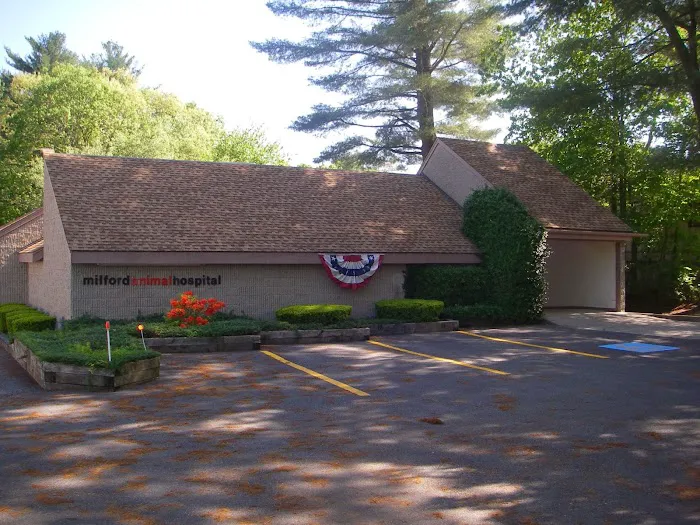 Milford Animal Hospital Picture 3
