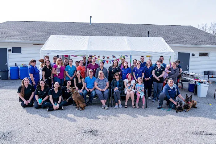 Veterinary Specialty Center of Sturbridge Picture 8