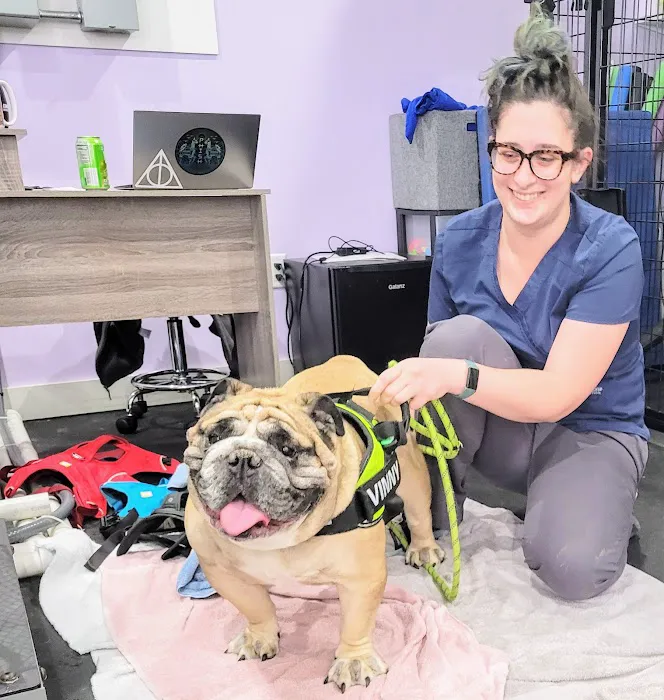 Veterinary Specialty Center of Sturbridge Picture 6
