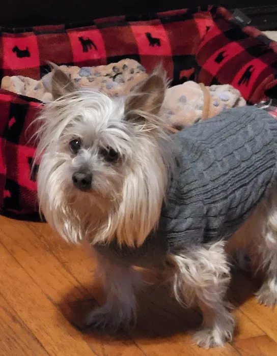 Sturbridge Veterinary Hospital Picture 8