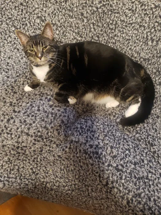 Second Chance Community Veterinary Hospital of Worcester Picture 5