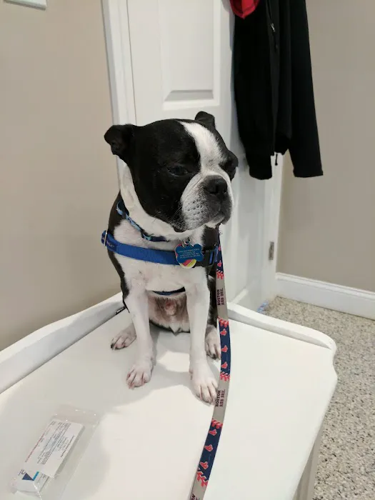 Riverlin Animal Hospital, LLC Picture 4