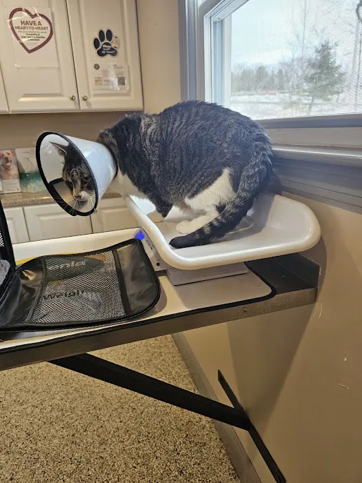 Riverlin Animal Hospital, LLC Picture 2