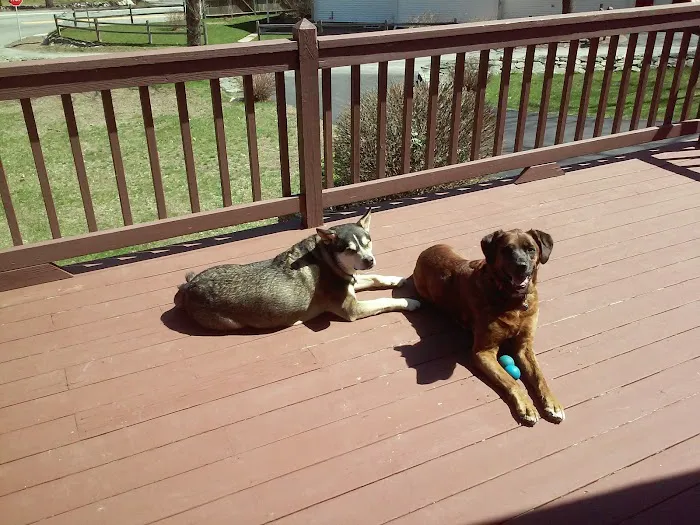 Riverlin Animal Hospital, LLC Picture 7