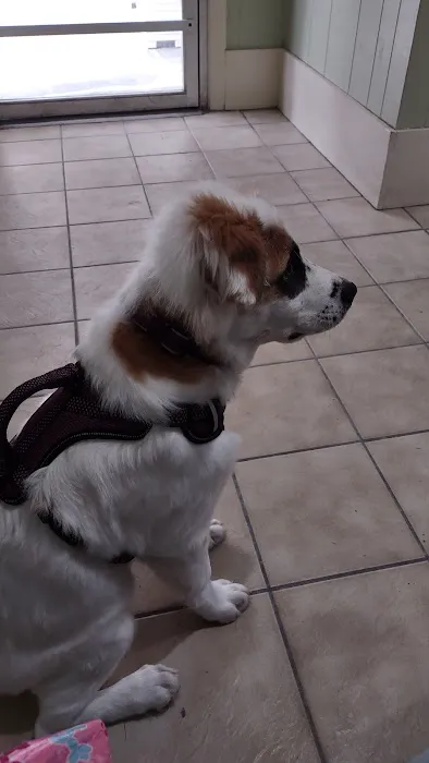 Route 20 Animal Clinic Picture 1