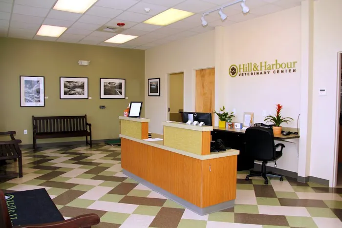 Hill & Harbour Veterinary Center Picture 3