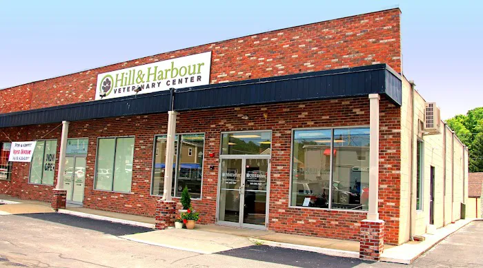 Hill & Harbour Veterinary Center Picture 2