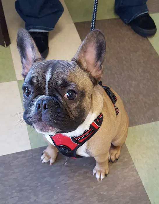 Hill & Harbour Veterinary Center Picture 8