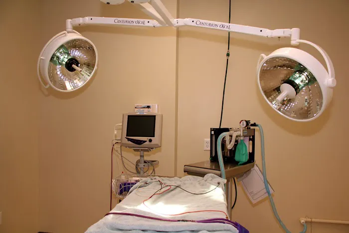 Hill & Harbour Veterinary Center Picture 5
