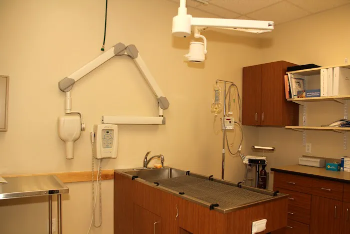 Hill & Harbour Veterinary Center Picture 6