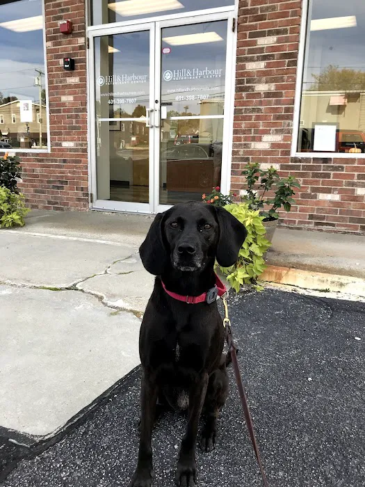 Hill & Harbour Veterinary Center Picture 7