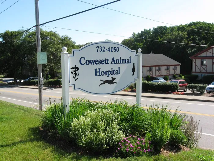 Cowesett Animal Hospital Picture 4