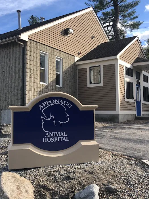 Apponaug Animal Hospital Picture 3