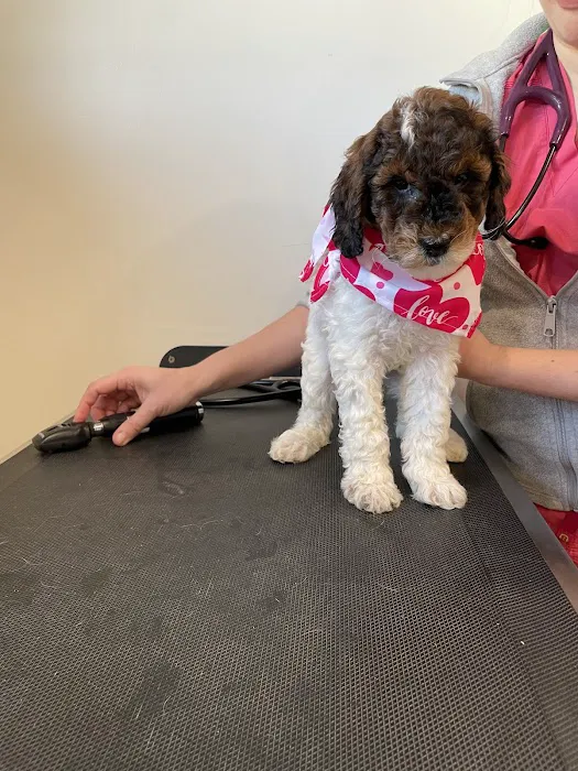 Apponaug Animal Hospital Picture 1