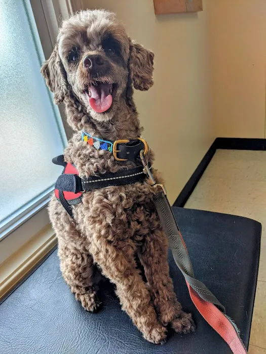 Apponaug Animal Hospital Picture 8