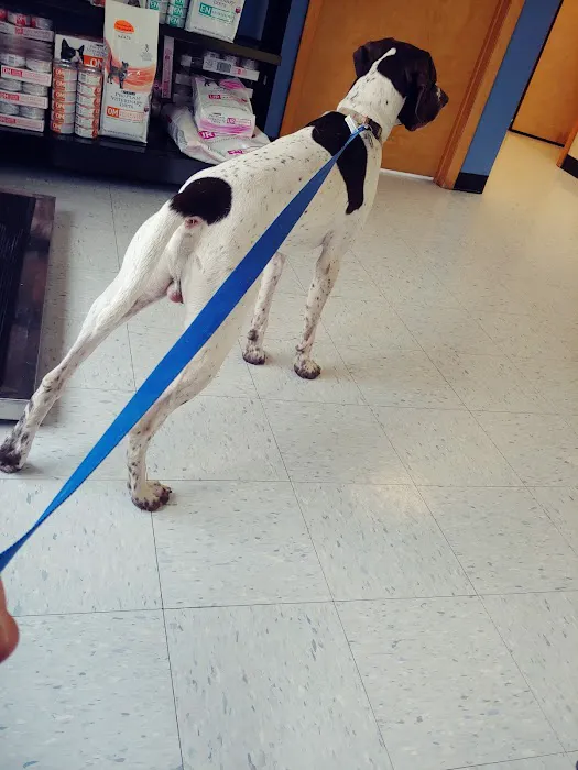 Apponaug Animal Hospital Picture 6