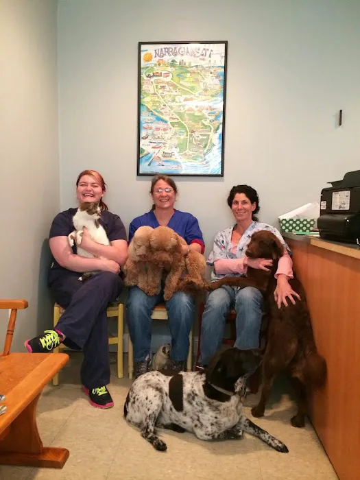 South Bay Veterinary Clinic Picture 2