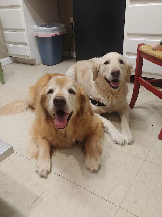 South Bay Veterinary Clinic Picture 7
