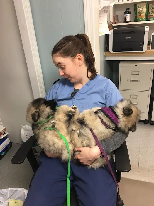 Jamestown Animal Clinic Picture 4