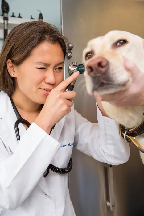 Jamestown Animal Clinic Picture 5