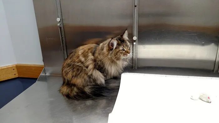Warwick Animal Hospital Picture 1