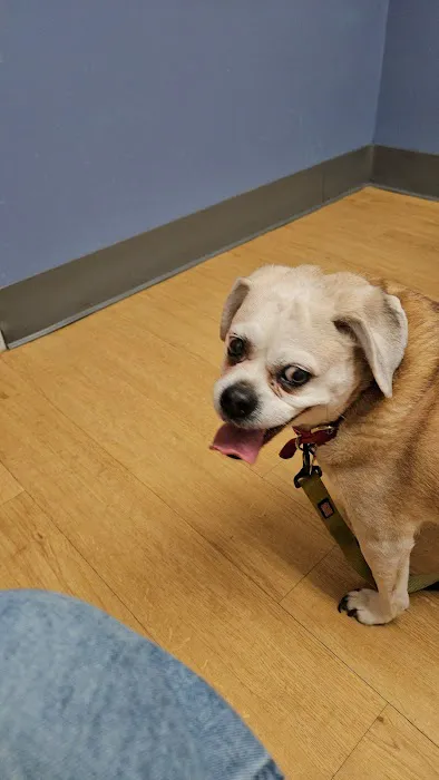 Warwick Animal Hospital Picture 2