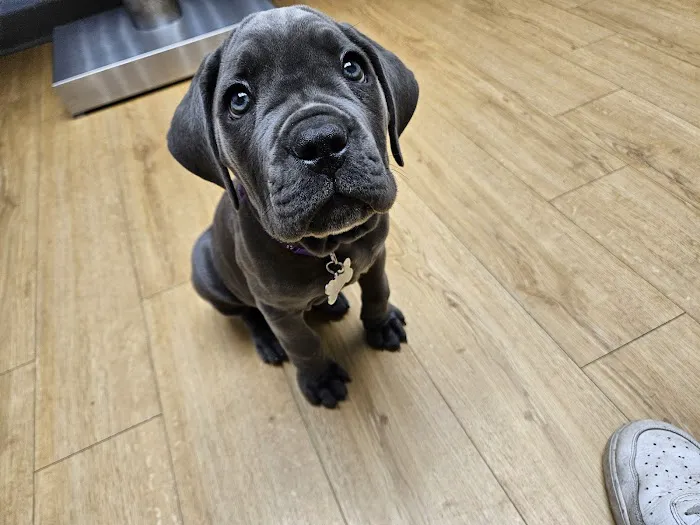 Warwick Animal Hospital Picture 7