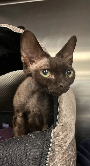 Warwick Animal Hospital Picture 9