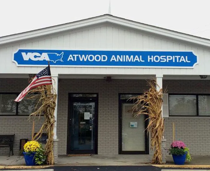 VCA Atwood Animal Hospital Picture 5