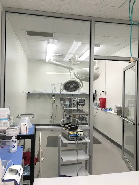 VCA Atwood Animal Hospital Picture 6