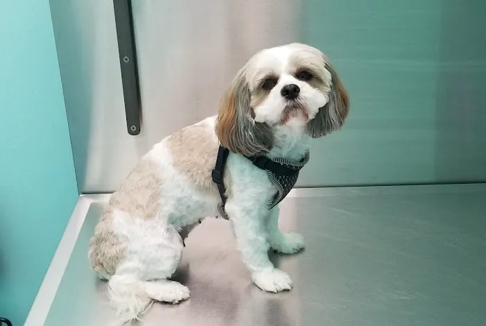 Titan Veterinary Services Picture 1