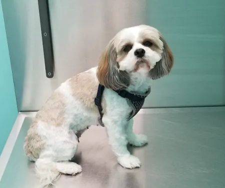 Titan Veterinary Services