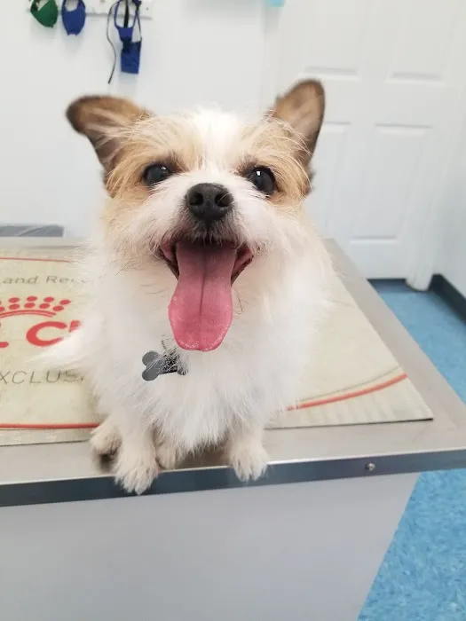 Titan Veterinary Services Picture 7