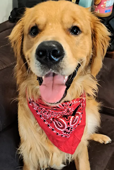 Titan Veterinary Services Picture 9