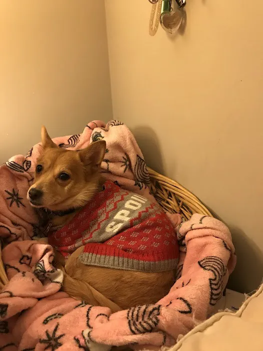 Titan Veterinary Services Picture 10