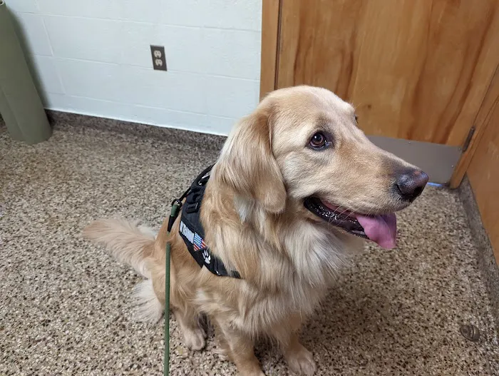 Cranston Animal Hospital Picture 2