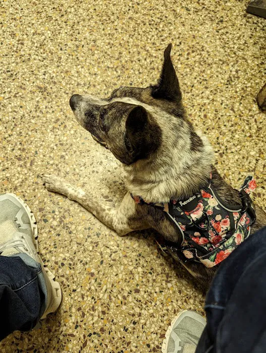Cranston Animal Hospital Picture 10