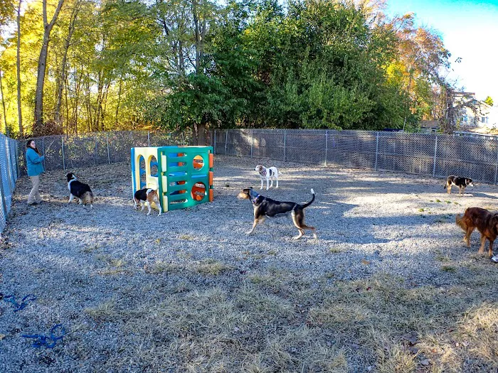 Rhode Island Animal Medical Center Picture 1