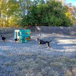 Rhode Island Animal Medical Center