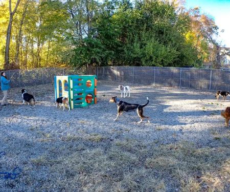 Rhode Island Animal Medical Center