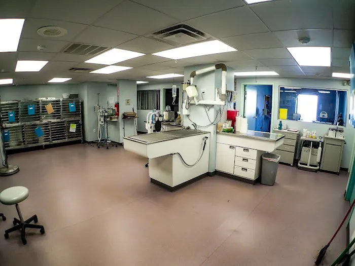 Rhode Island Animal Medical Center Picture 7