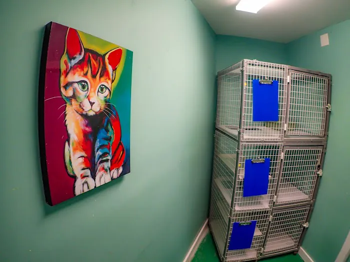 Rhode Island Animal Medical Center Picture 9
