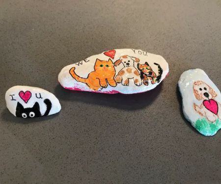 Airport Animal Hospital