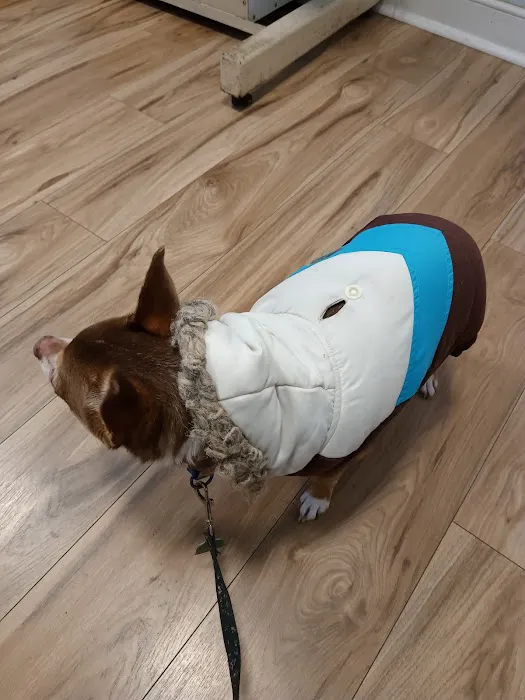 Airport Animal Hospital Picture 3