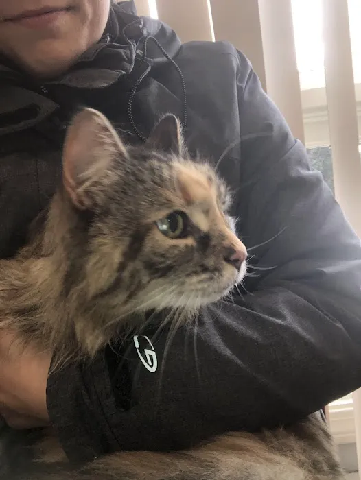 Airport Animal Hospital Picture 4
