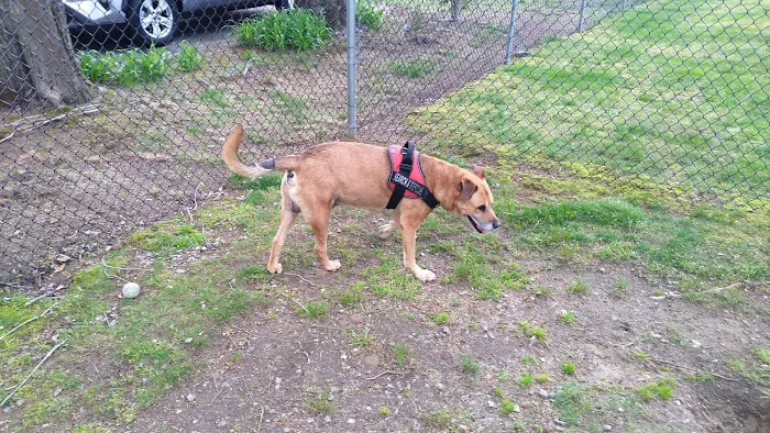 West Shore Animal Clinic Picture 2