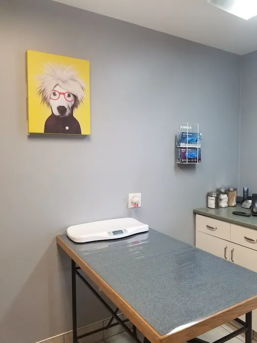 West Shore Animal Clinic Picture 10